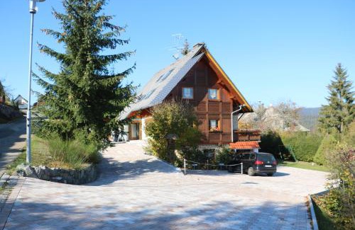 Barental Apartment | Ferienwohnung Seeblick Nr 5, 2 Zi-Bärental, Feldberg