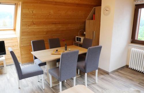 Barental Apartment | Ferienwohnung Seeblick Nr 5, 2 Zi-Bärental, Feldberg