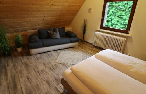 Barental Apartment | Ferienwohnung Seeblick Nr 5, 2 Zi-Bärental, Feldberg