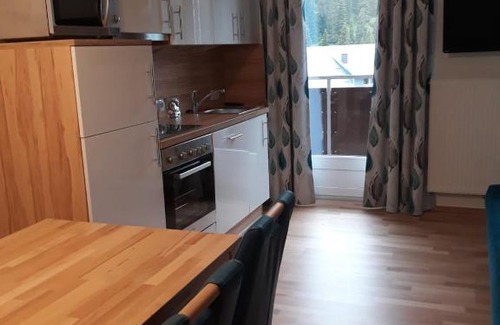 Irdning-Donnersbachtal Apartment | Ferienwohnung Ski-Hans