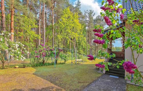 Torgelow-Hollanderei Apartment | Ferienwohnung Torgelow