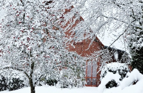 Nieheim Apartment | Ferienwohnung Typ E, 65qm, 2 Schlafzimmer, Max. 5 Personen
