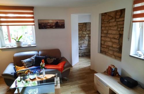 Meiningen Apartment | Ferienwohnung Villa Frosch