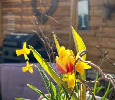 Traben-Trarbach Apartment | Ferienwohnungen Christina