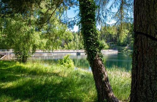 Tambach-Dietharz Apartment | Ferienwohnungen Haus am See