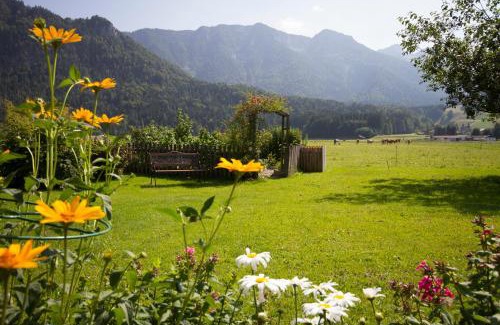 Sulzbach Apartment | Ferienwohnungen Haus Martin