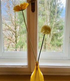 Notsch im Gailtal Apartment | Ferienwohnungen Schloss Wasserleonburg
