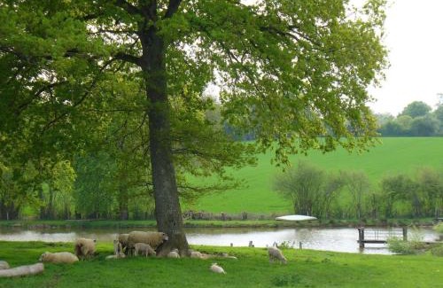 Vigoulant House | Fermette au calme avec piscine, jardin et étang de pêche - FR-1-591-333