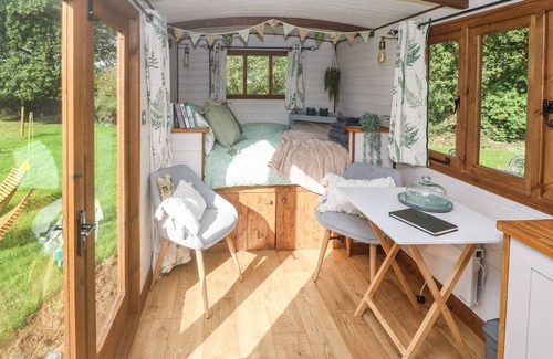 Brazzacott Cottage | Fern