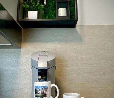 Mainz-Bingen Apartment | Fewo Am Brunnen