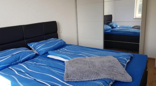 Goppertsweiler Apartment | FeWo Gänseblümle mit Pool Matzenweilerhof