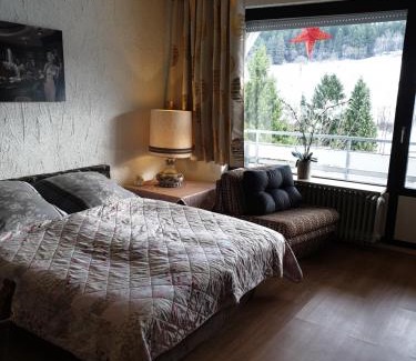 Usseln Apartment | Fewos 4-Jahreszeiten