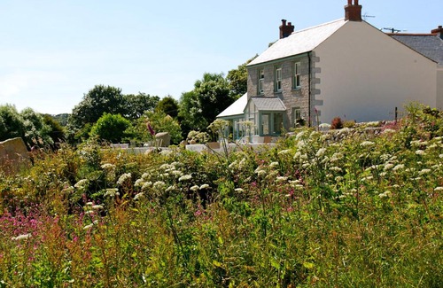 Penryn Bed & Breakfast | Fig Tree House