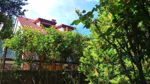 Lovas House | Fig Tree house