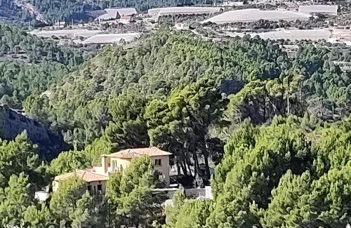 Callosa d' En Sarria Cabin | Finca Caracol