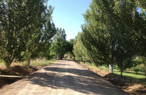 Logrono House | Finca el Consul
