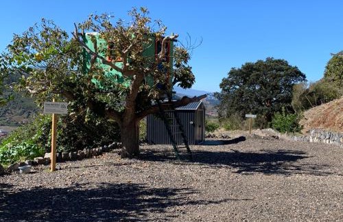 Tegueste House | Finca el Roque