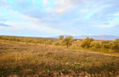 Salar Hotel | Finca las Calmas boutique hotel & retreats