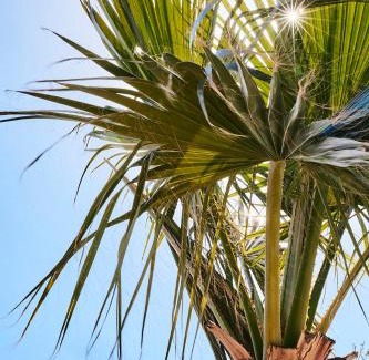 Salar Hotel | Finca las Calmas boutique hotel & retreats