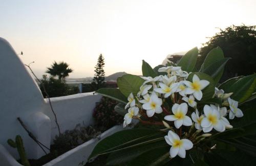 Los Silos Apartment | Finca las Mariposas