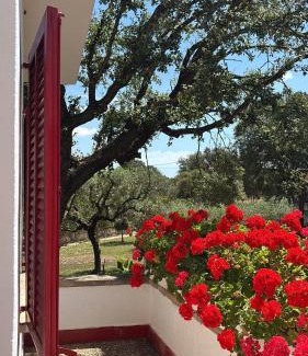 Sencelles House | Finca Sa Cova de Mallorca