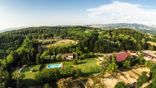 Fauglia House | Fioralice