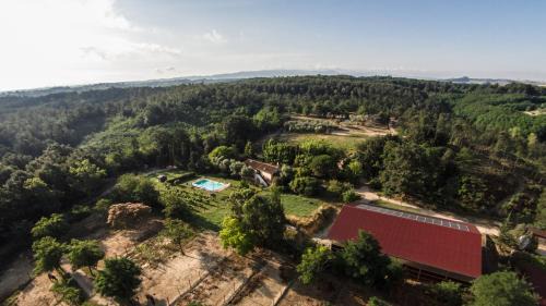Fauglia House | Fioralice