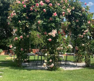 Montopoli in Val d'Arno House | FiordiSole Holiday Home