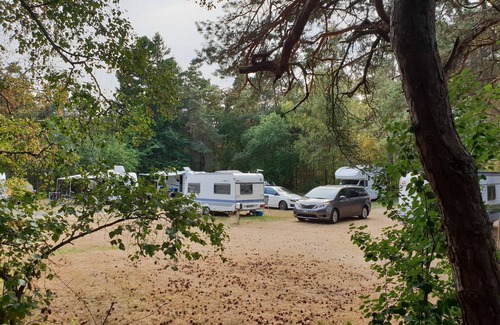 Torslanda Cabin | First Camp Lilleby