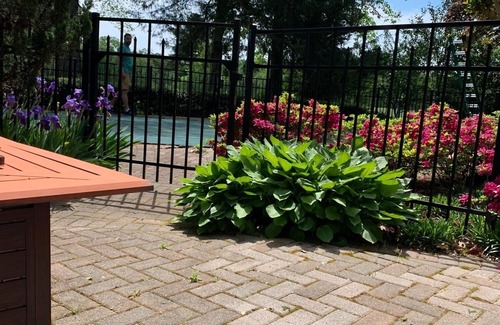 Chestertown Apartment | First Floor Studio Apartment in Historic Chestertown
