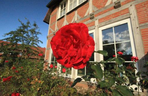 Muritz Hotel | Flair Seehotel Zielow