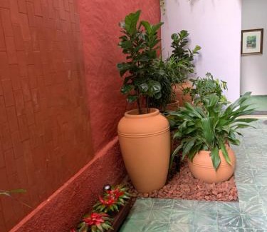 Ipiau Apartment | FLAT CAMBUCI - Hospedagem e Moradia - Centro de Ipiaú-BA