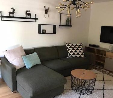 Flims Apartment | Flims 2 Room Apartment in Center Ski in-out TrulloVista