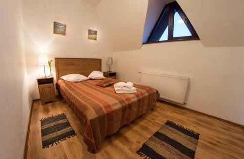 Cheia House | Floarea Soarelui