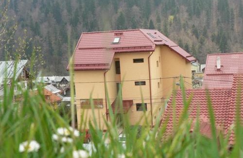 Azuga House | Flora Alpina