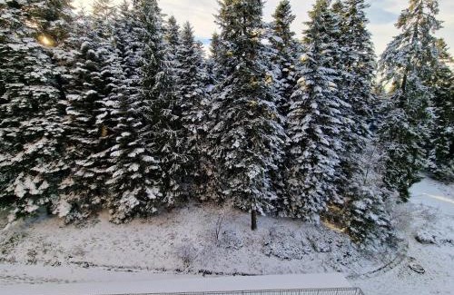 Borovets Apartment | Flora Apartments TMF