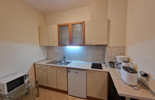 Borovets Apartment | Flora Apartments TMF