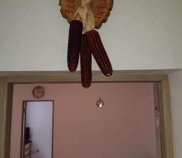 Sighisoara Apartment | Florin Apartament