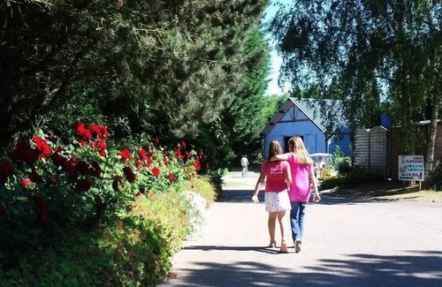 Saint-Aubin-sur-Scie House | Flower Camping Vitamin * - Mobile home Comfort 26m2 (2 bedrooms) + TV + Terrace + BBQ 4 persons