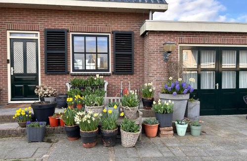 De Engel Bed & Breakfast | Flowerbed