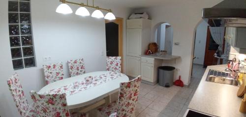 Hidegseg House | Foki Vendégház