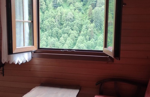 Ayder Yaylasi House | Fora Pansiyon