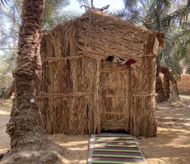 Siwa Other | Forest Camp Siwa - كامب الغابة