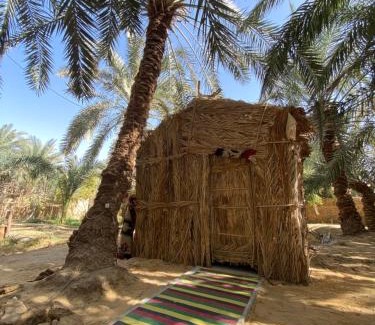 Siwa Other | Forest Camp Siwa - كامب الغابة