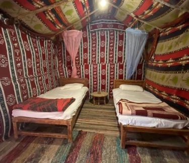 Siwa Other | Forest Camp Siwa - كامب الغابة