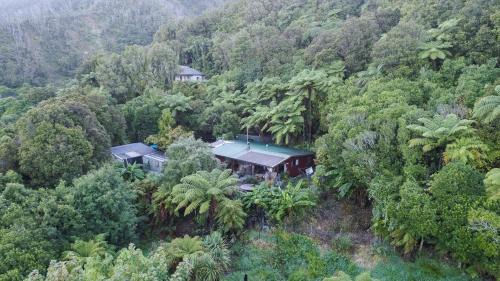 Barrytown House | Forest Edge