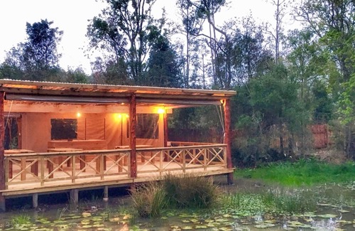 Knysna Cottage | Forest Edge