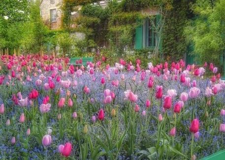 Bois-Jerome-Saint-Ouen Bed & Breakfast | Forest Farm