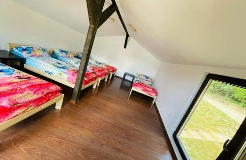 Vulcan Other | Forest Glamping