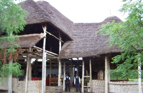 Kasese Cabin | Forest Hog Safari Lodge
